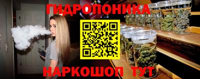 spice Пенза