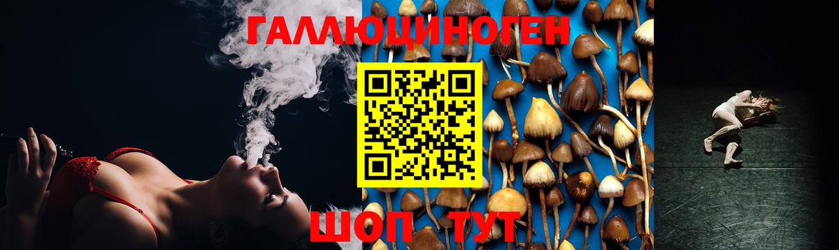 Псилоцибиновые грибы MAGIC MUSHROOMS  Псилоцибиновые грибы ЛСД  Ртищево  наркота  Вход с VPN 